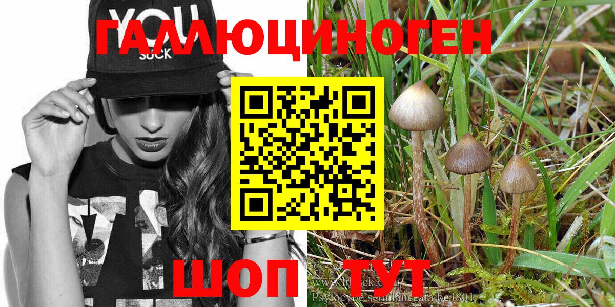 Галлюциногенные грибы Magic Shrooms  Псилоцибиновые грибы GOLDEN TEACHER  Вход с VPN  Сертолово 