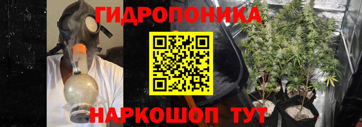 Конопля индика Сертолово